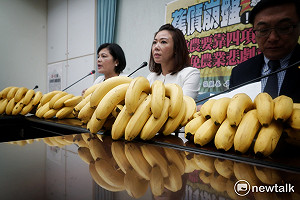 香蕉價格崩盤 張麗善：未落實控管機制