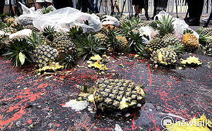 現場直擊/不滿鳳梨價格大血崩   中部四縣市農民到政院抗議