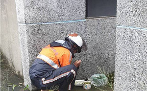 豪雨期間防疫不間斷  高市府動員防堵登革熱