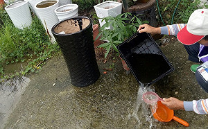 災後環境整理小撇步  衛生局：清潔劑可自製