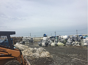 「洋廢塑」大舉輸台 環保局查獲違法工廠