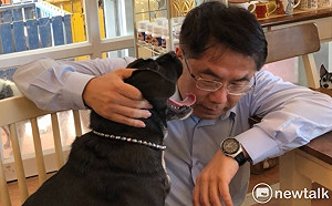 友善對待毛小孩  黃偉哲要讓流浪動物「三溫暖」