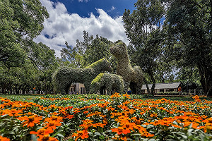 花博開幕首日湧入三萬人！林佳龍發表「花博宣言」