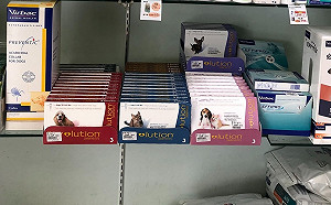 毛孩藥品別亂買！動保處：網路平台禁賣動物藥