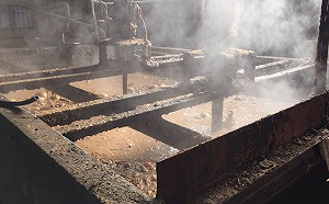 防豬瘟廚餘如何處理？屏東環保局：現階段先掩埋