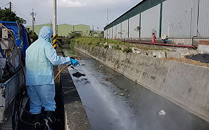 虛驚一場！屏東萬丹水漂死豬確認無感染非洲豬瘟