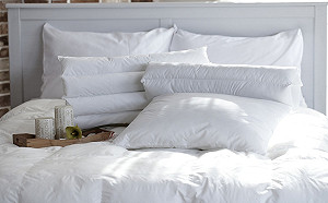 來源安心又環保！農委會推冬被首選國產羽絨