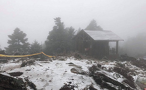 向陽山也飄雪了！林管處：可期待26號再一波降雪