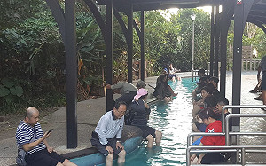 泡溫泉別撲空！春節「這兩天」北投泡腳池休園