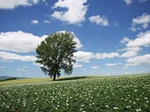 劉黎兒觀點》無本生意！？觀光公害竟讓日本哀鴻遍野…