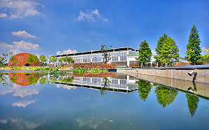 台中花博推市民免費人氣卻狂跌？市府：學生期末考、年節影響