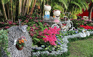 走春賞花好去處！士林官邸花卉展600餘株蝴蝶蘭等你來聞香