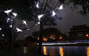 又美又浪漫！2019月津港燈節「隨光呼吸」超好拍