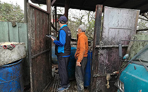 春節防疫不停歇！34養豬場違反廚餘規定  環保署查驗告發