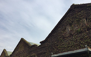 今日轉涼！東北季風增強 北部易有短暫雨