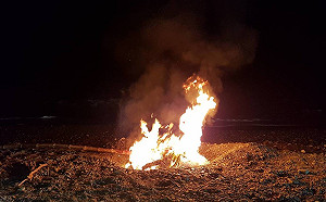 屏東枋山海岸發現豬屍！動防所已送檢並焚毀掩埋