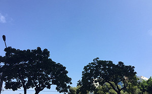 入冬以來無寒流報到！氣象局：可能打破最晚寒流紀錄