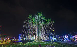 阿凡達生命樹夜裡發光！台灣燈會南島原鄉燈區超夢幻