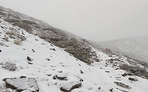 下雪了！雪山圈谷積雪10公分 網友直呼「超美」
