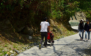 安全又不破壞大自然！太魯閣白楊步道獲選友善環境特別獎