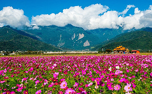 浪漫客庄旅遊券中獎率僅4%！網喊：集體當邊緣人