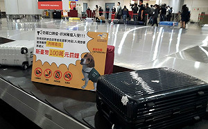 防非洲豬瘟疫情擴散！泰國飛台也將100%手提行李檢查