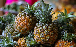 鳳梨價格失衡1斤僅1元？農糧署回應了