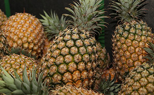 全球都愛這一味！帶你一次認識台灣鳳梨品種