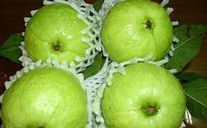 高雄芭樂價低！農糧署喊話韓國瑜：應積極協助農民