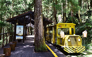 清明連假別宅在家！12歲以下兒童可免費遊國家森林遊樂園