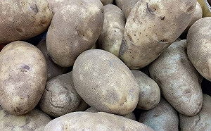 綠色馬鈴薯就是有毒？食藥署告訴你真相