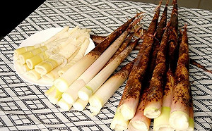 不用農藥就能種出好滋味！桂竹筍好吃營養又乾淨