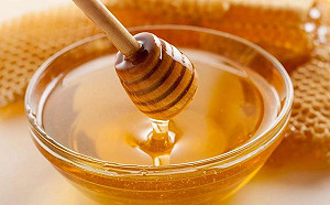 暖冬害蜜蜂採不到蜜！蜂蜜產量創60年新低僅剩一成