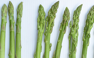 美味蘆筍提早上市！4大要訣助你快速挑好筍