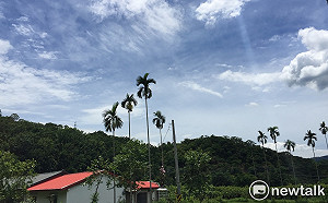 台東熱翻天！大武吹焚風氣溫飆至37度