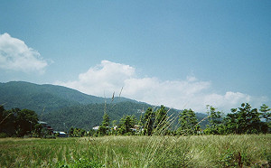 今天更熱！5縣市亮黃燈 中午最高溫恐飆36度