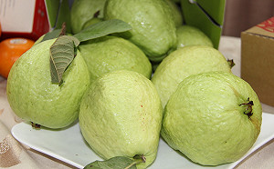 藍委轟芭樂、鳳梨嚴重價跌！農委會反擊：勿炒作干擾市場價格