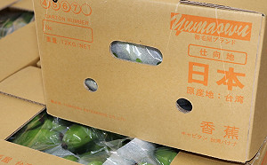 簽下500噸訂單！台灣香蕉銷日量增5倍