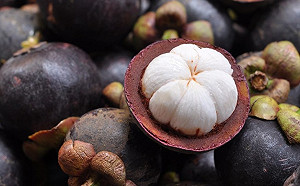 睽違12年！果后「山竹」有條件重新開放進口