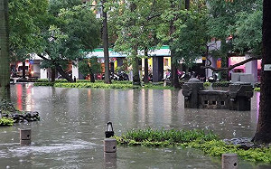 大雨狂炸！桃竹發布大豪雨特報 新竹縣雨量破350毫米大淹水