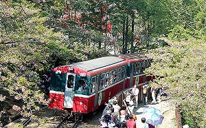 武漢肺炎》旅遊業遭衝擊  交通部籌百億紓困金救急、振興觀光