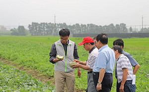 豪雨造成農損！陳吉仲宣布新豐、湖口、竹北列現金救助