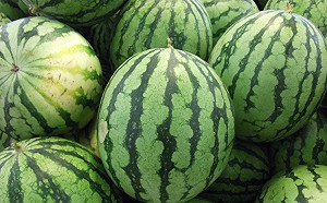 豪雨成災農損破5000萬！水稻、西瓜最慘