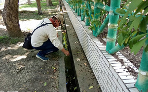 赴中注意！中國三省列登革熱旅遊疫情建議第一級注意