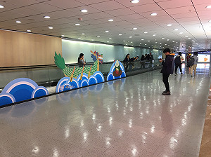 桃園機場期間限定 珍貴影像展、創意拍照區等你探索