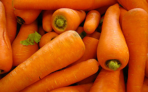 肺癌高居死亡率之冠！有這些症狀要注意