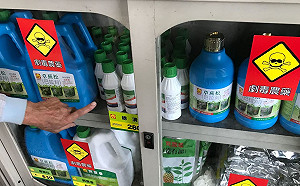 劇毒農藥巴拉刈退場!2月1日起全面禁用