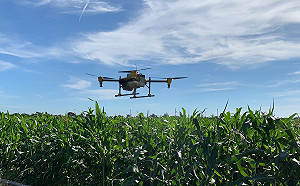 防秋行軍蟲！雲林縣出動無人機空中噴藥