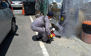 都在東門里！ 台南市今出現第3例登革熱 