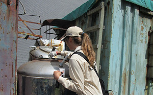 左營也爆疫情！高雄再增2例本土登革熱